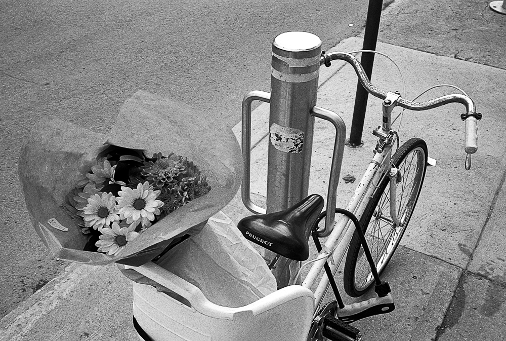 Rues de Montréal (Montréal, 2019) Tous droits réservés Grégoire VINCENT Copyright