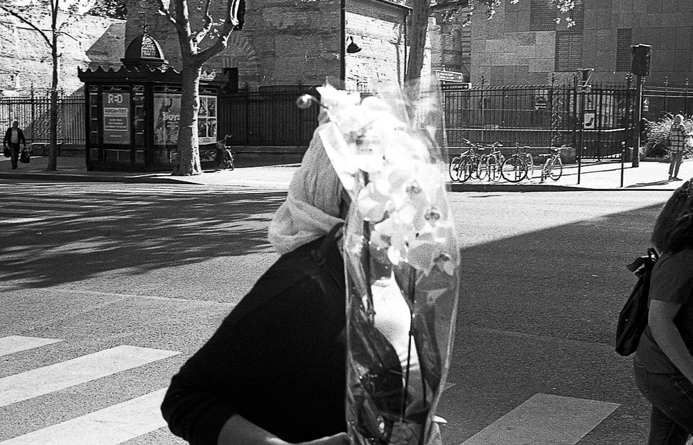 (Paris, 2019) Tous droits réservés Grégoire VINCENT Copyright