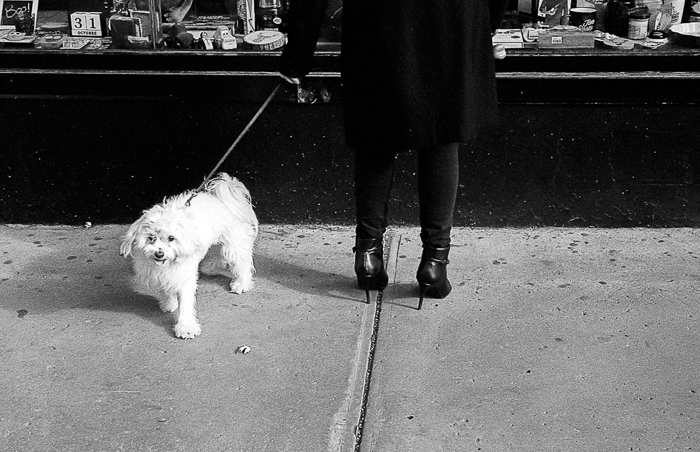 Rues de Montréal (Montréal, 2018) Tous droits réservés Grégoire VINCENT Copyright